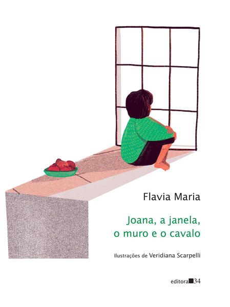 Joana, a janela, o muro e o cavalo, livro de Flavia Maria