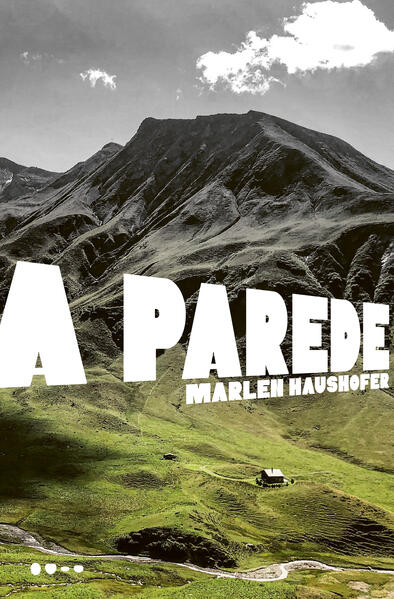 A parede, livro de Marlen Haushofer