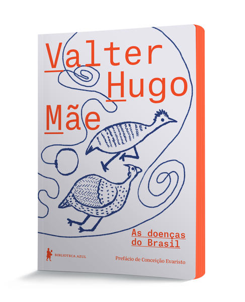 As doenças do Brasil, livro de Valter Hugo Mãe