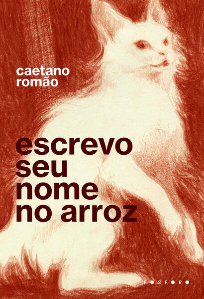 Escrevo seu nome no arroz, livro de Caetano Romão