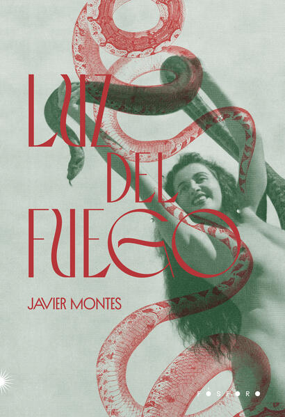 Luz del Fuego, livro de Javier Montes