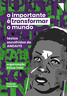 O importante é transformar o mundo, livro de Andaiye