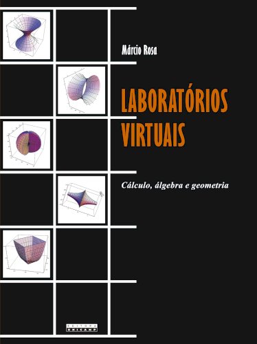 Laboratórios virtuais - Cálculo, álgebra e geometria, livro de Márcio Rosa