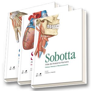 Sobotta - Atlas de anatomia humana - Anatomia geral e sistema muscular, Órgãos internos, Cabeça, pescoço e neuroanatomia - 23ª edição, livro de F. Paulsen, J. Waschke