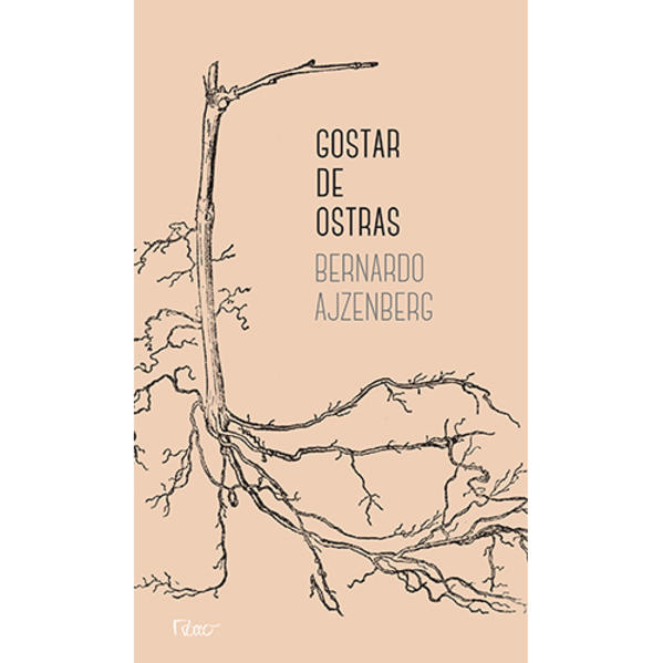 Gostar de ostras, livro de Bernardo Ajzenberg