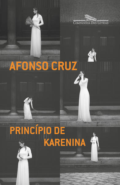 Princípio de Karenina, livro de Afonso Cruz