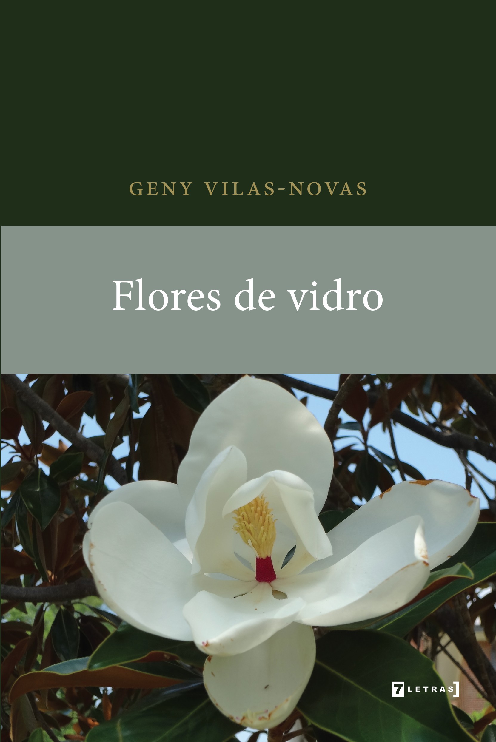 Flores de vidro, livro de Geny Vilas-Novas