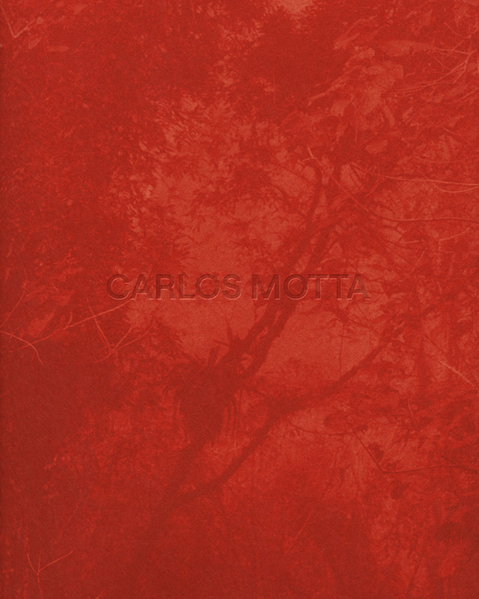 Carlos Motta. Marcenaria, Arquitetura e Design, livro de Carlos Motta, Bruno Torturra