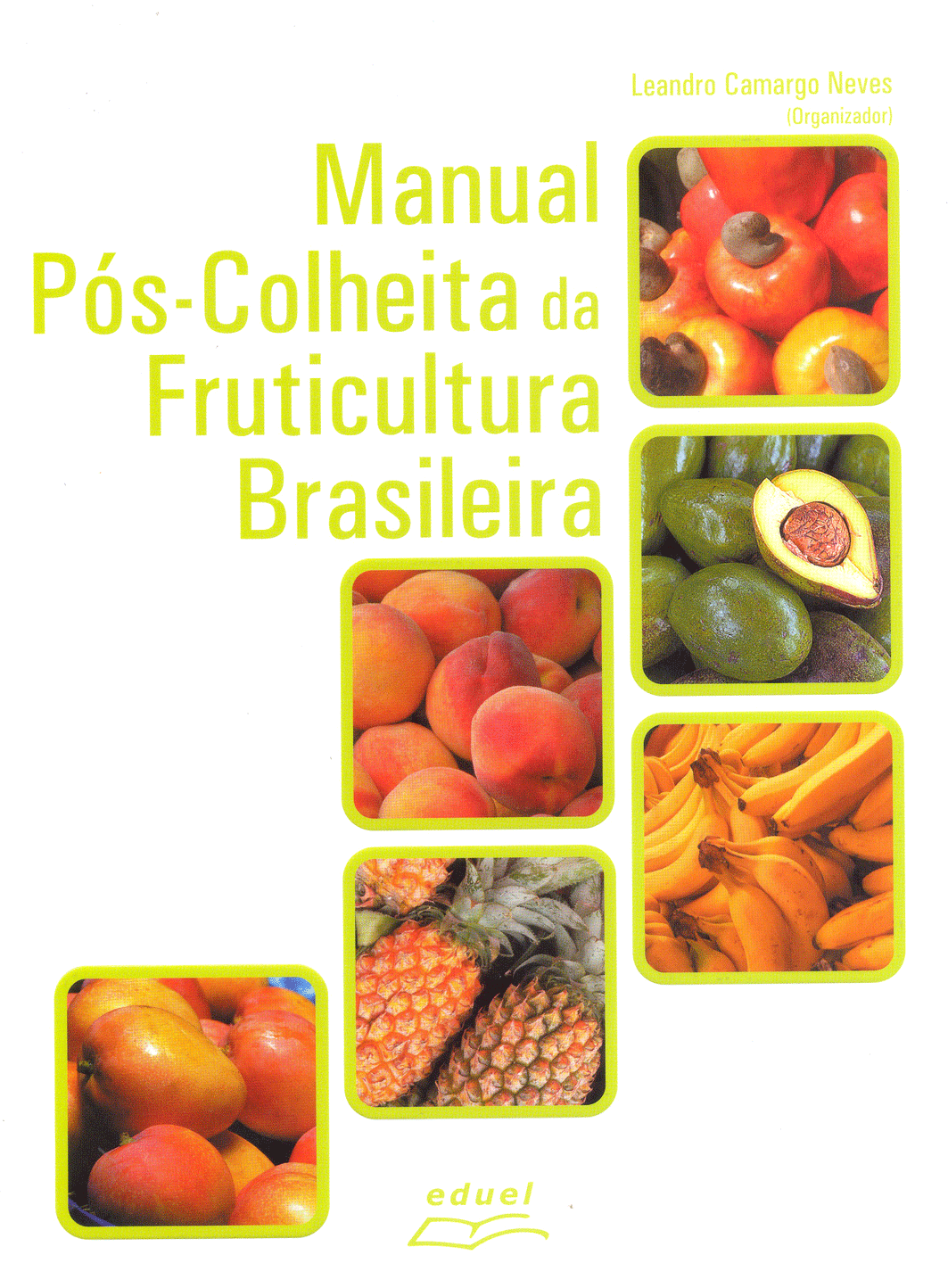 Manual pós-colheita da fruticultura brasileira, livro de Leandro Camargo Neves (organizador)