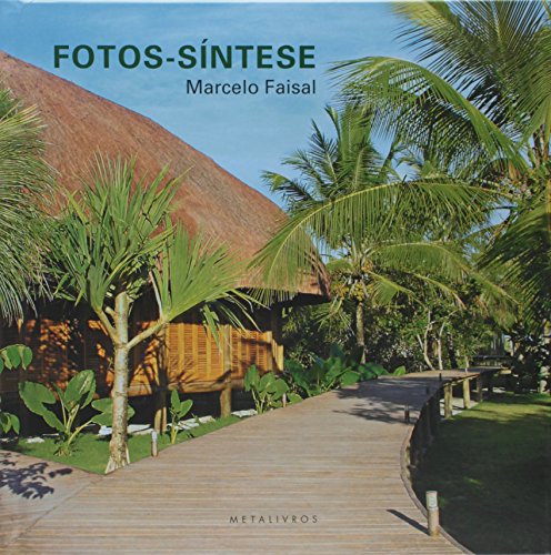 Fotos-síntese, livro de Marcelo Faisal